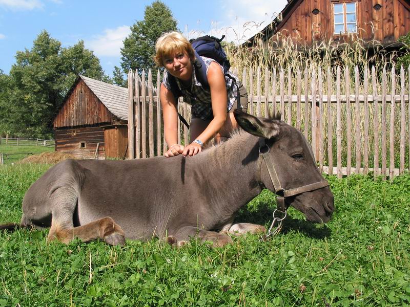 Holčička s oslíčkem